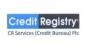 CR Services (Credit Bureau) Plc logo